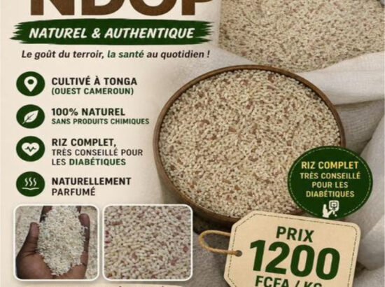 RIZ NDOP |  Naturel et Authentique. NDOGBON (Douala) Contact : +237693144512 
